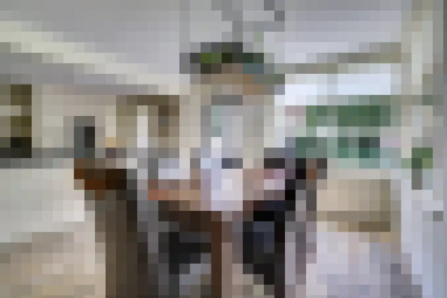 Lieverman 3 Gemert thumbnail 18