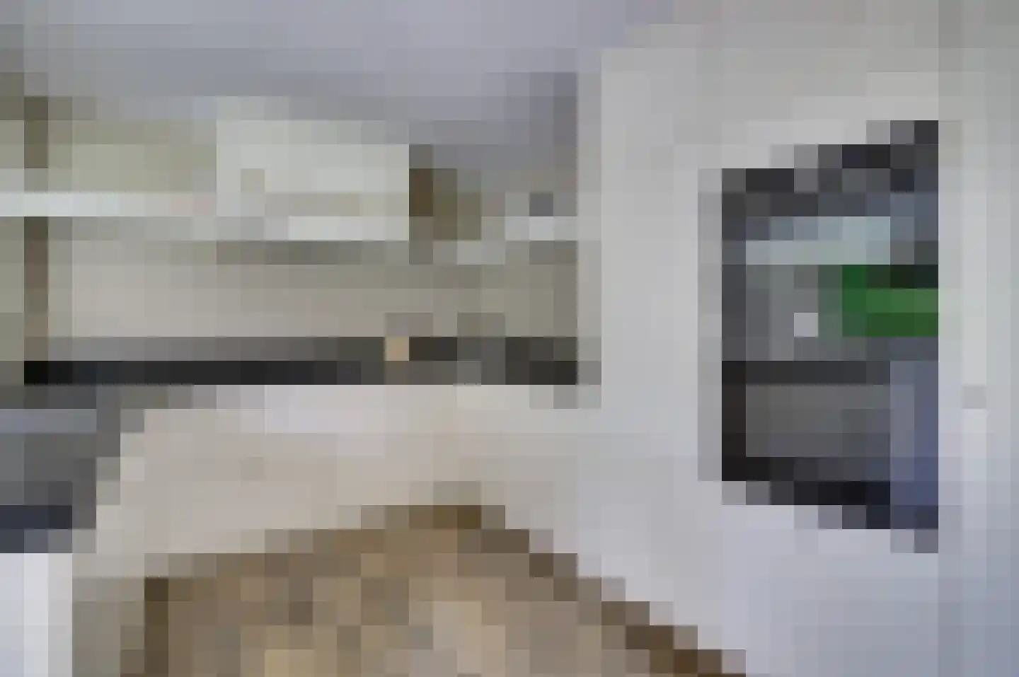 Lieverman 3 Gemert thumbnail 20