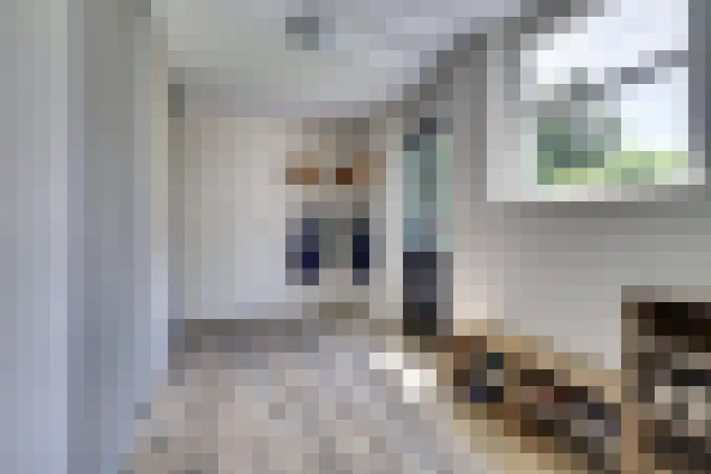 Lieverman 3 Gemert thumbnail 23