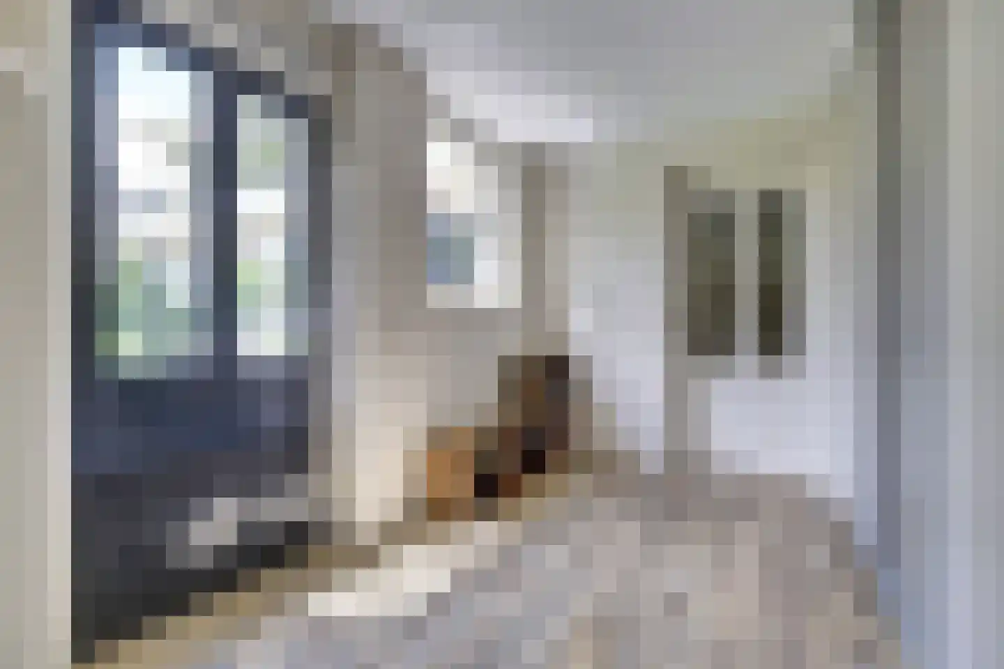 Lieverman 3 Gemert thumbnail 24