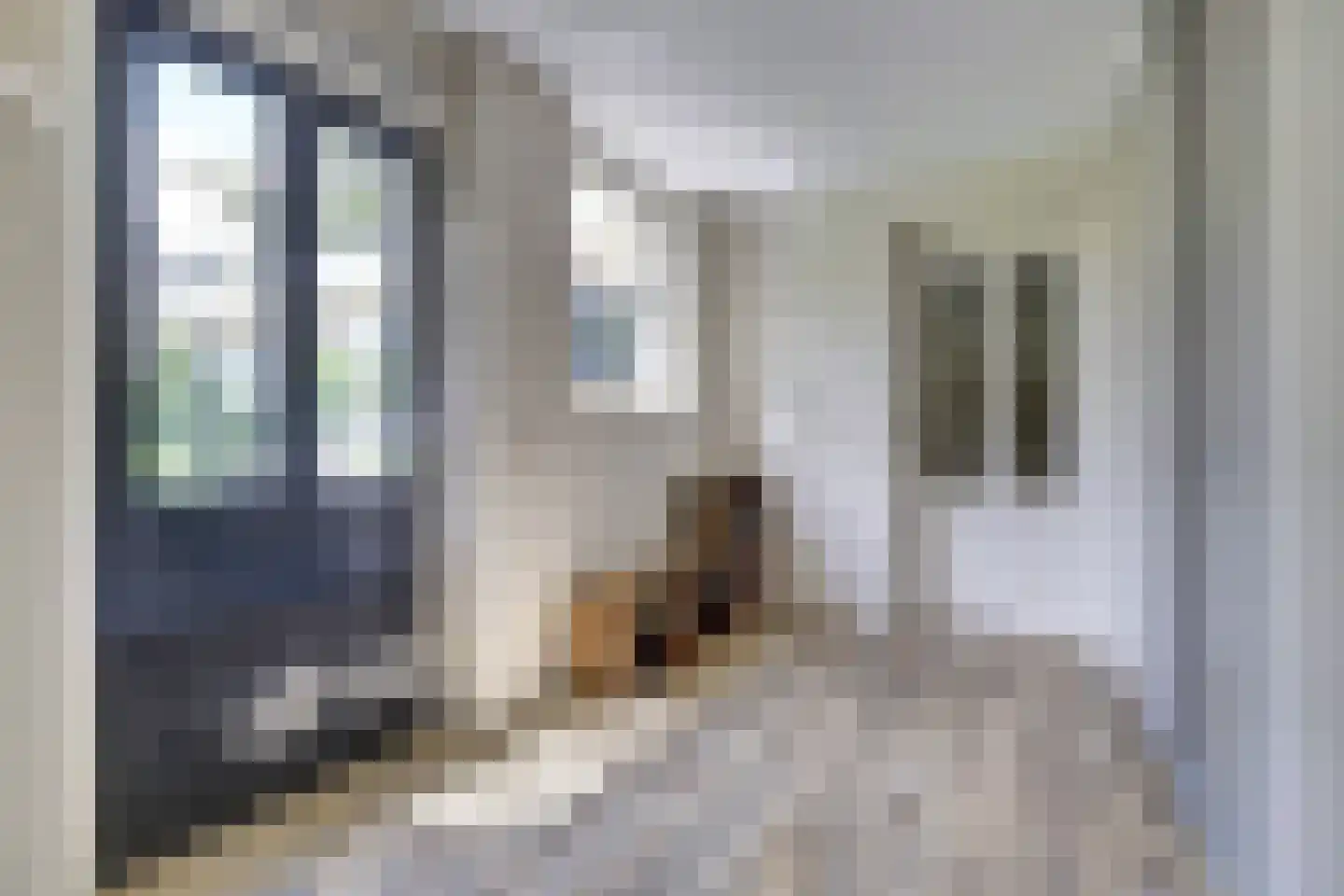 Lieverman 3 Gemert thumbnail 24