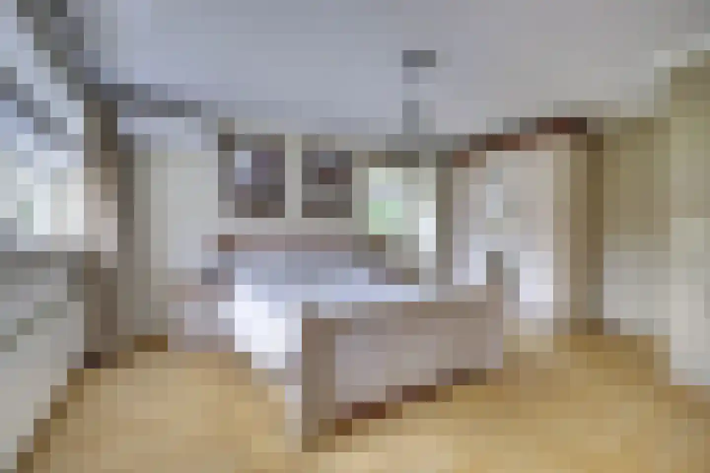 Lieverman 3 Gemert thumbnail 30