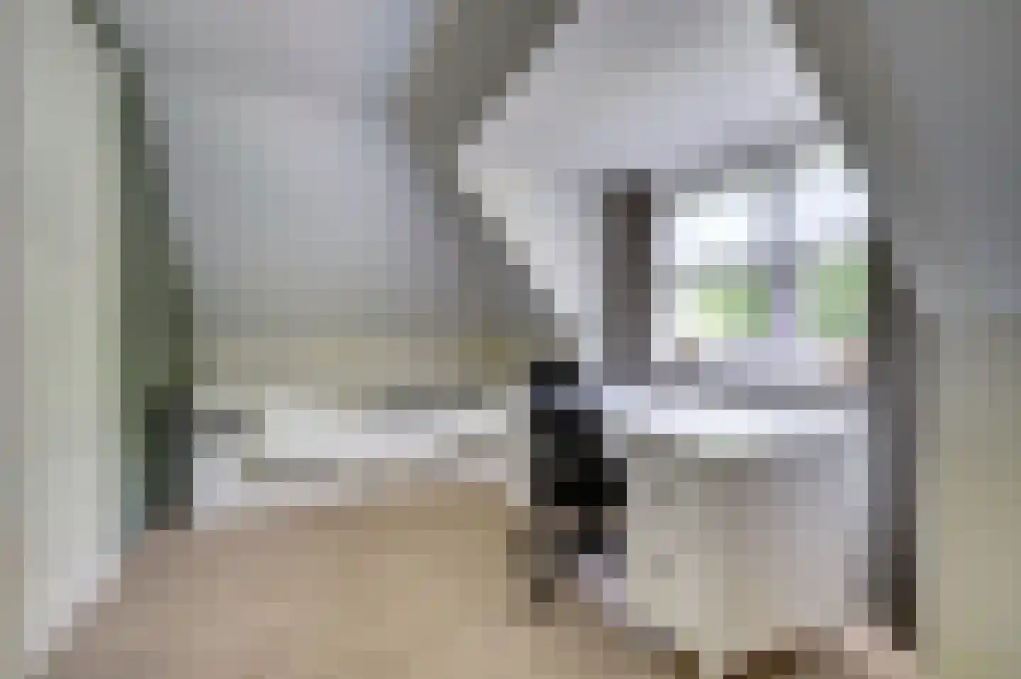Lieverman 3 Gemert thumbnail 45