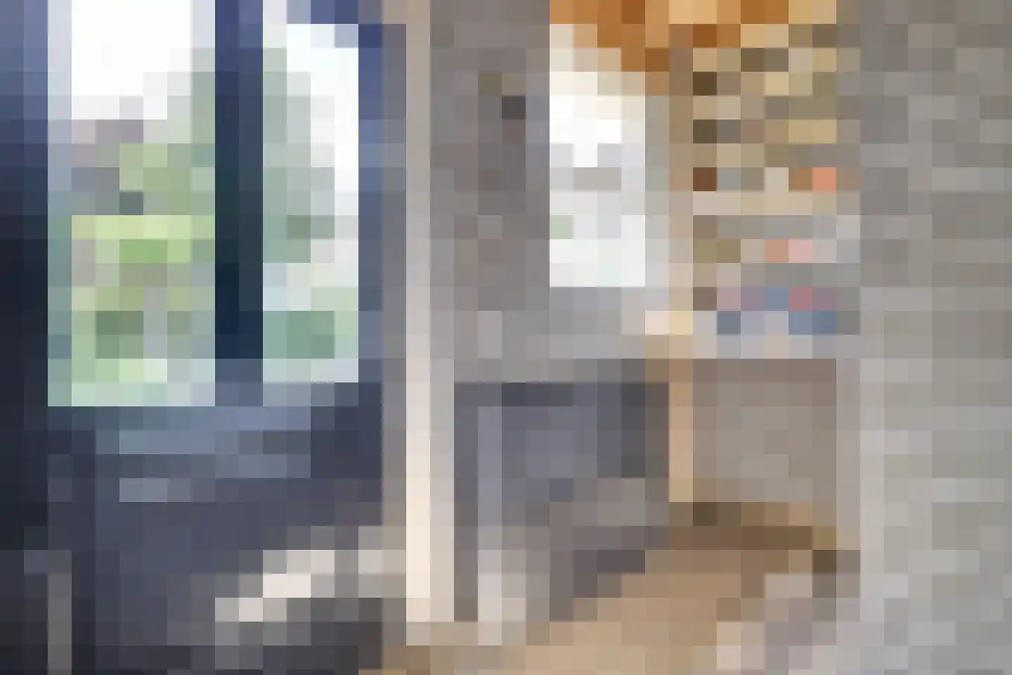 Lieverman 3 Gemert thumbnail 48
