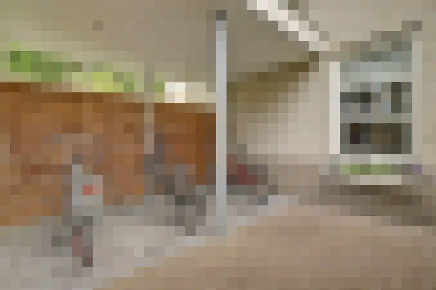 Lieverman 3 Gemert thumbnail 51