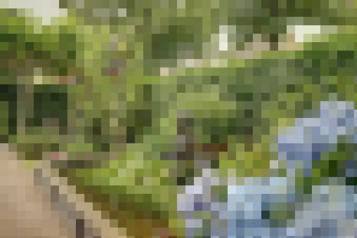 Lieverman 3 Gemert thumbnail 52