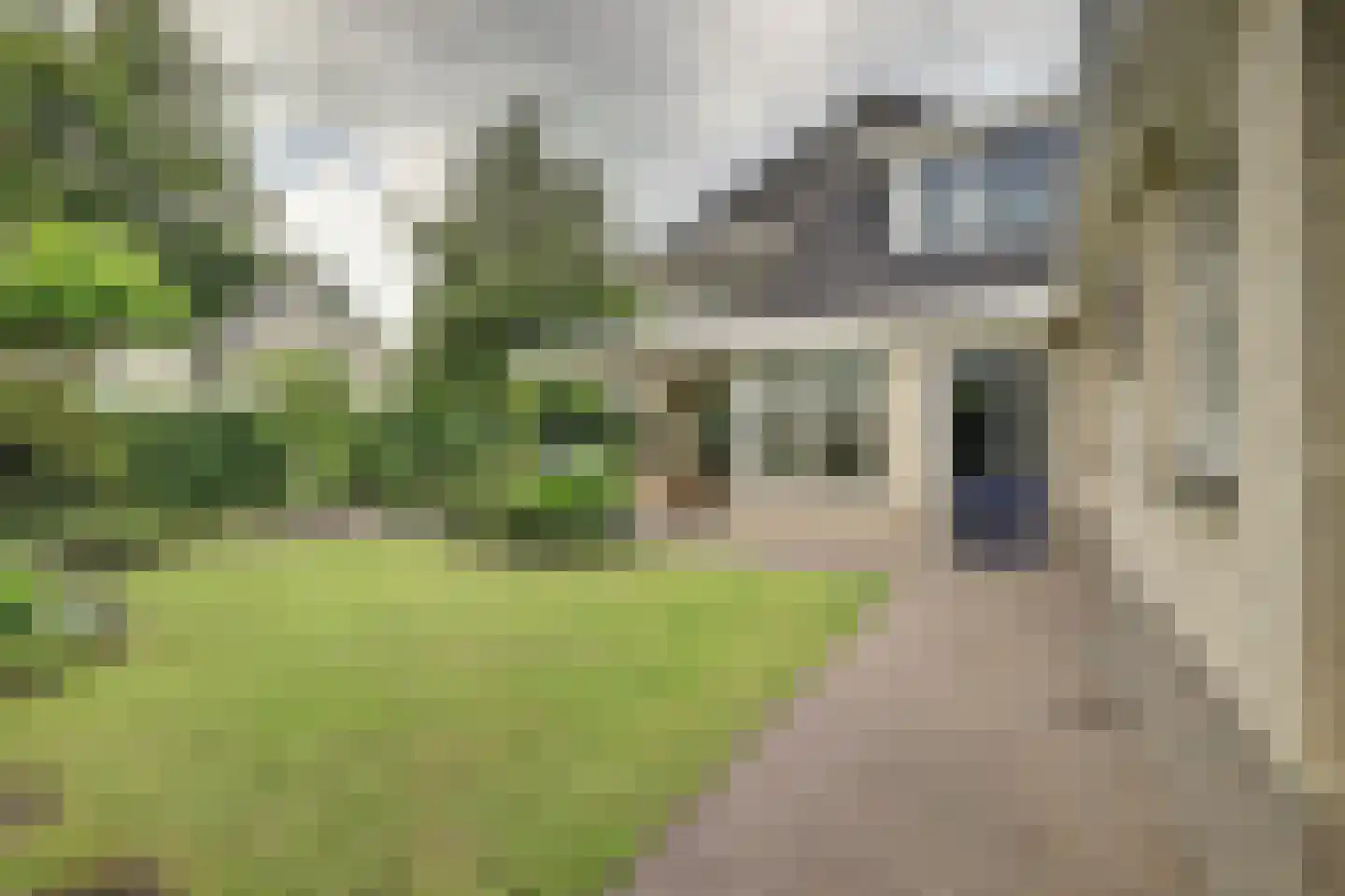 Lieverman 3 Gemert thumbnail 55