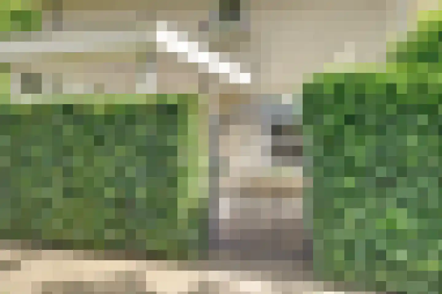 Lieverman 3 Gemert thumbnail 57