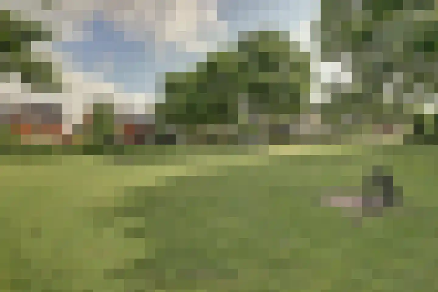 Lieverman 3 Gemert thumbnail 58