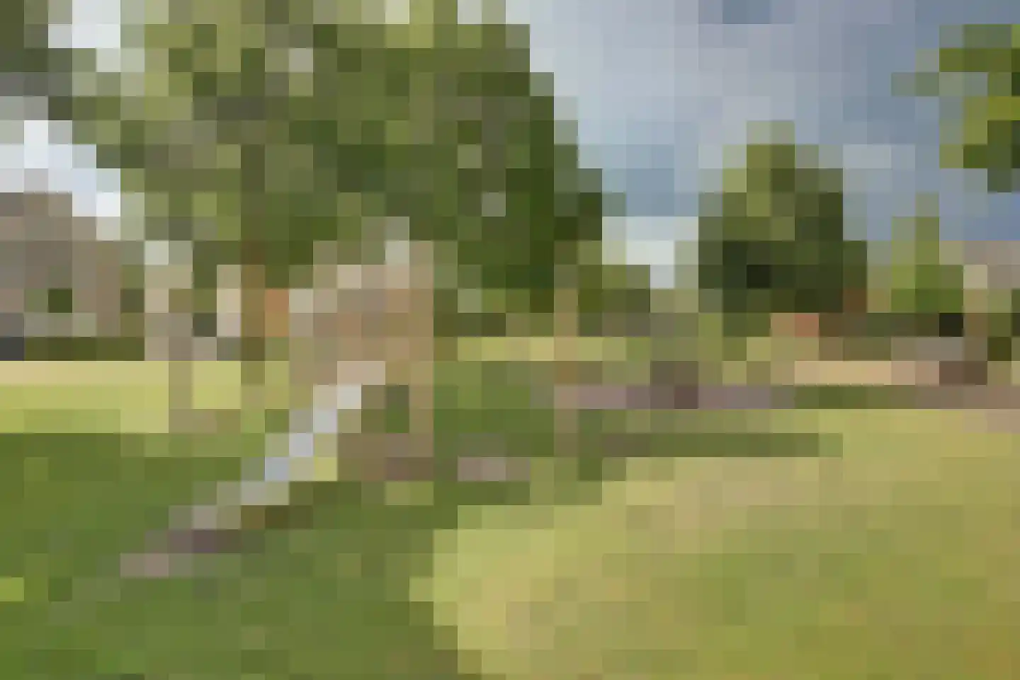 Lieverman 3 Gemert thumbnail 59