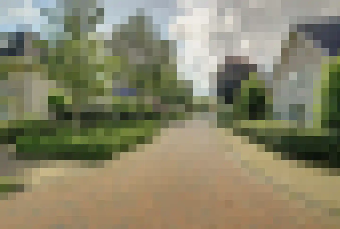 Lieverman 3 Gemert thumbnail 60