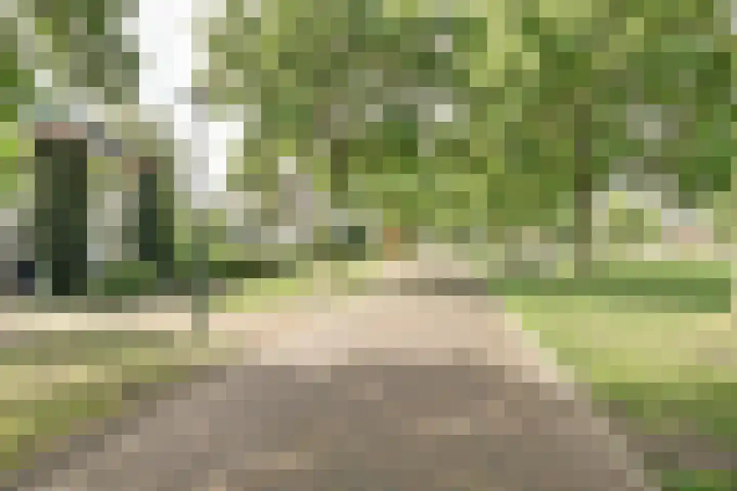 Lieverman 3 Gemert thumbnail 61