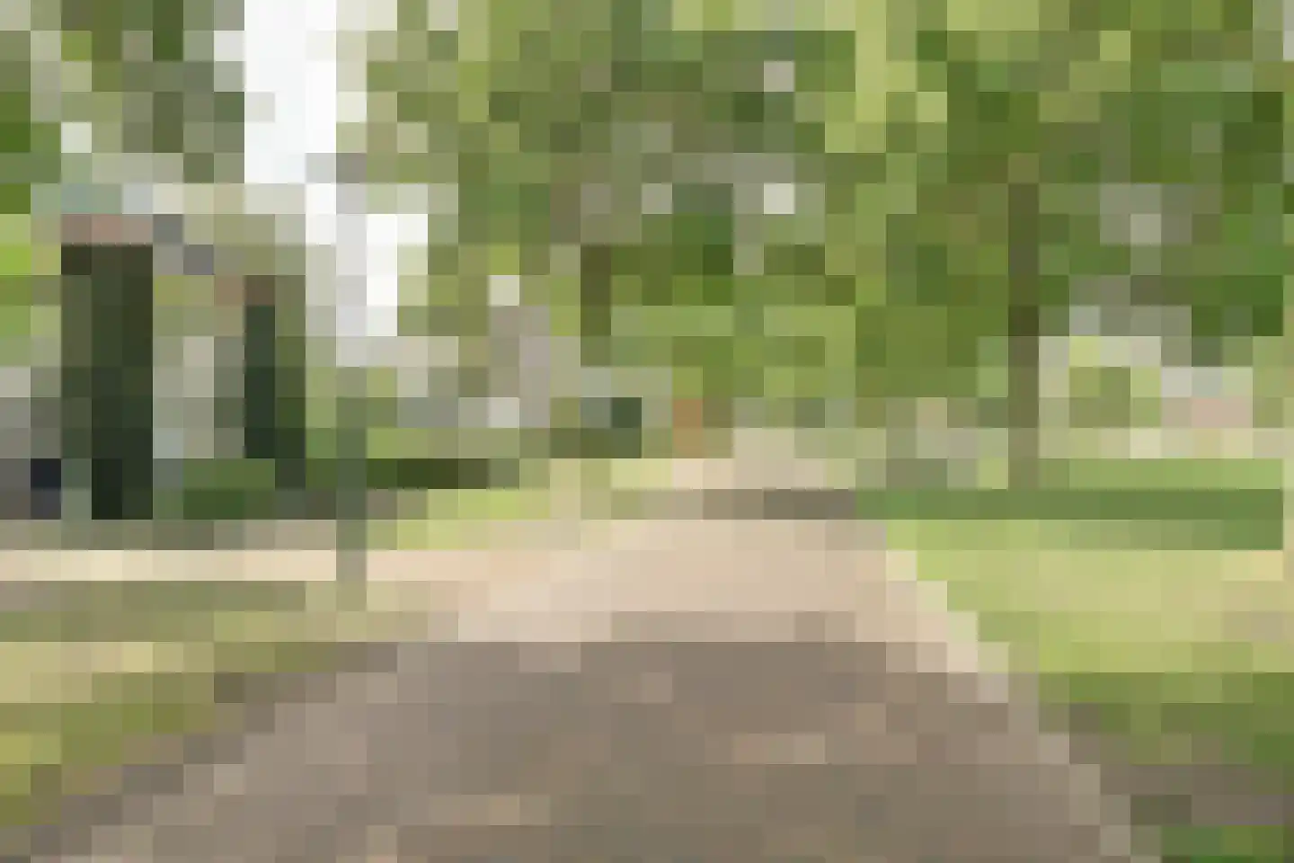 Lieverman 3 Gemert thumbnail 61