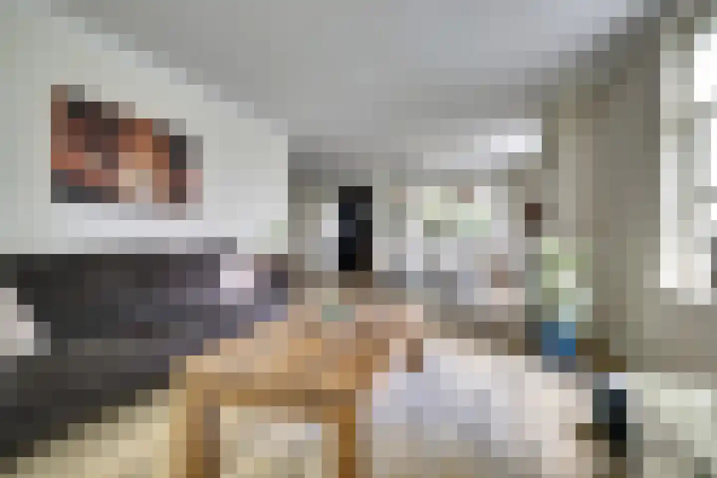Lieverman 3 Gemert thumbnail 9
