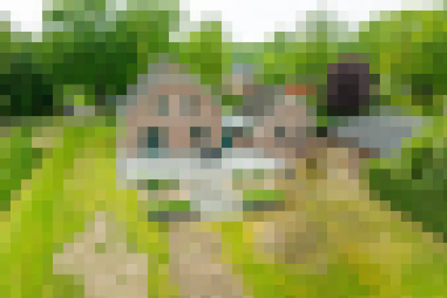 Lieversdijk 1 Aalten thumbnail 5