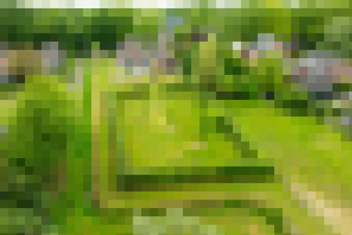 Lieversdijk 1 Aalten thumbnail 6