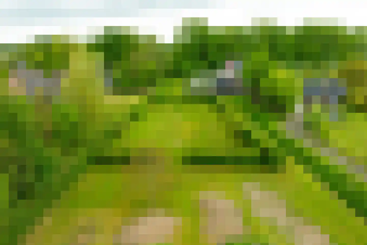 Lieversdijk 1 Aalten thumbnail 7