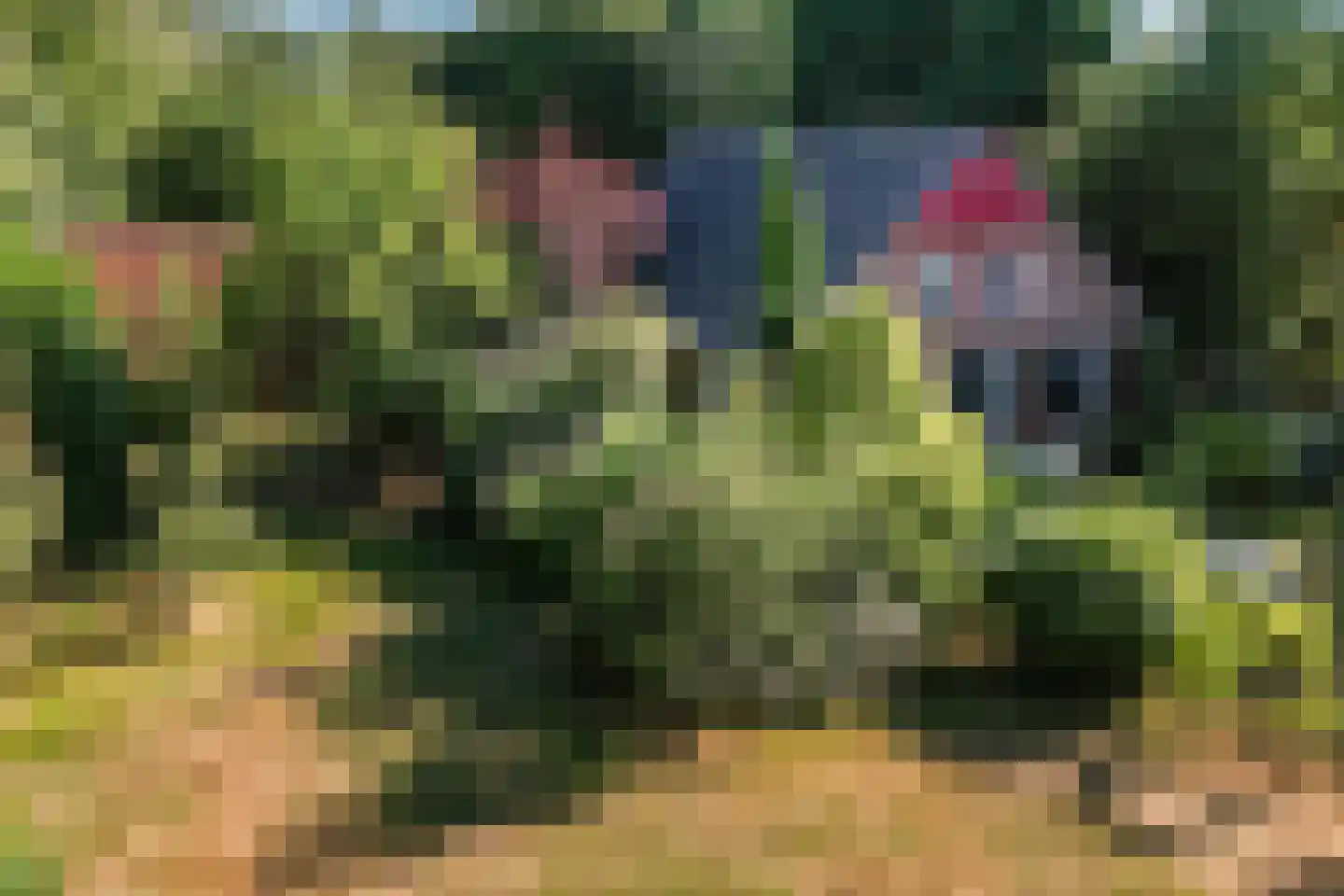 Lieversdijk 6 Aalten thumbnail 10