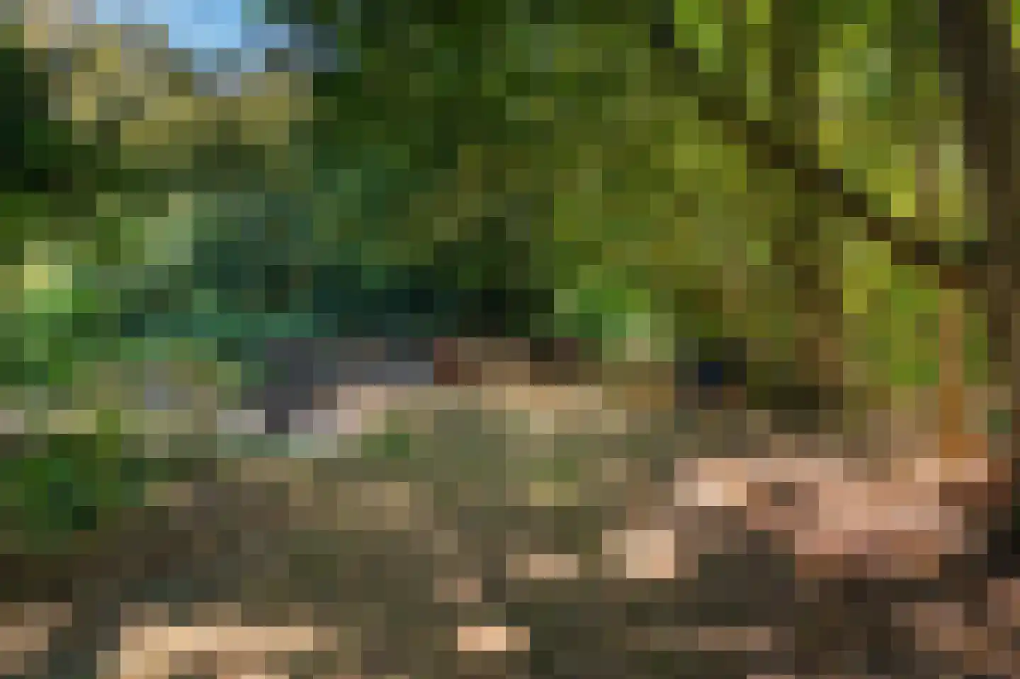 Lieversdijk 6 Aalten thumbnail 31