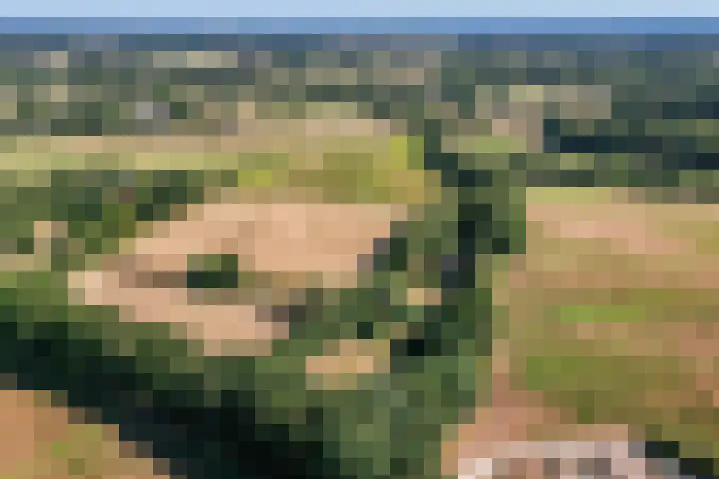 Lieversdijk 6 Aalten thumbnail 38