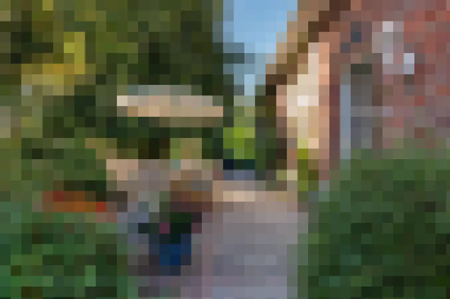 Lieversdijk 6 Aalten thumbnail 4