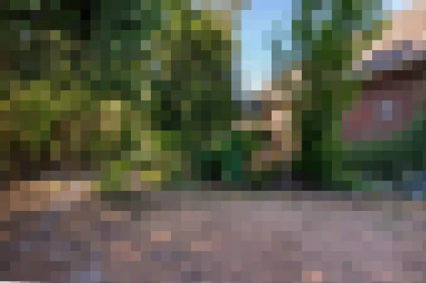 Lieversdijk 6 Aalten thumbnail 5