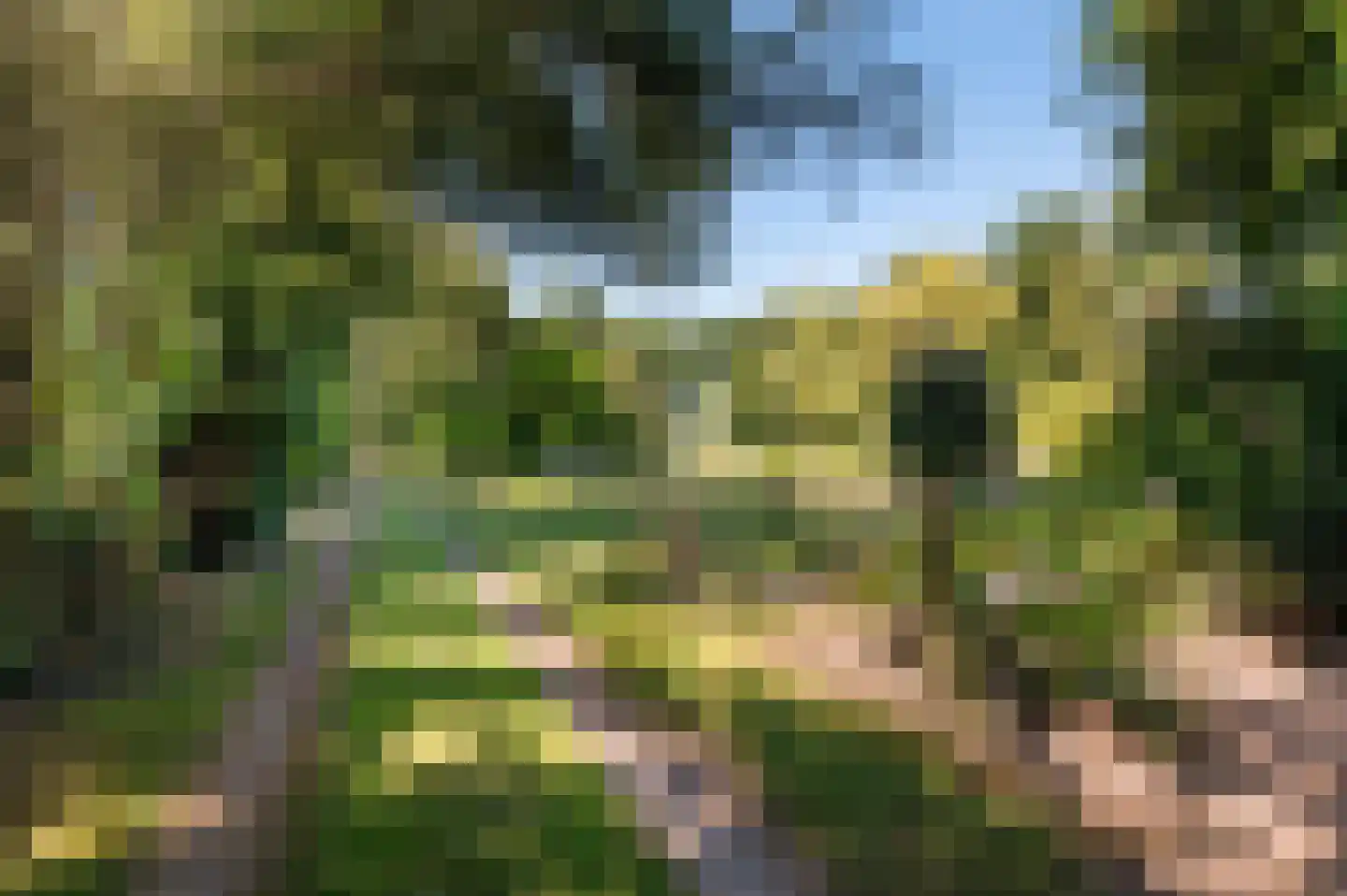 Lieversdijk 6 Aalten thumbnail 6