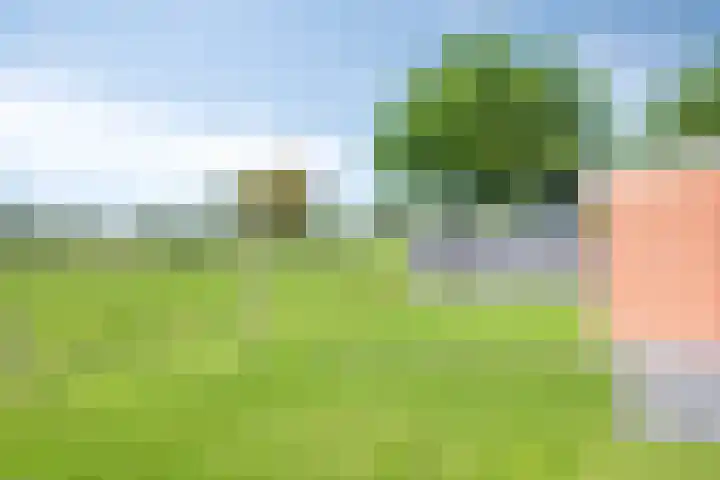 Lieverseweg 18 Peize thumbnail 31