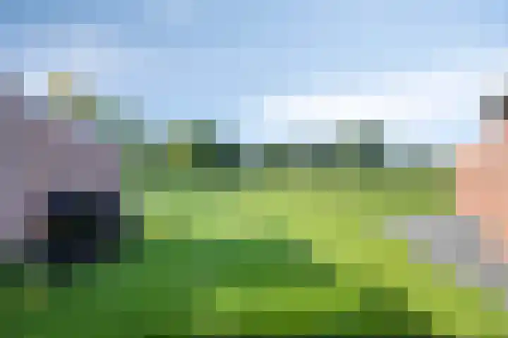 Lieverseweg 18 Peize thumbnail 32