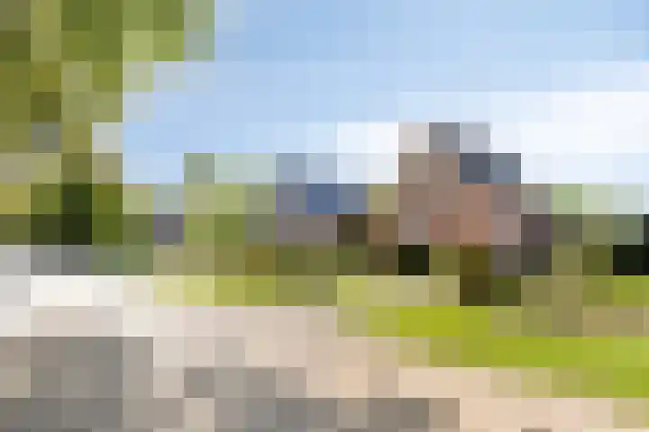Lieverseweg 18 Peize thumbnail 39