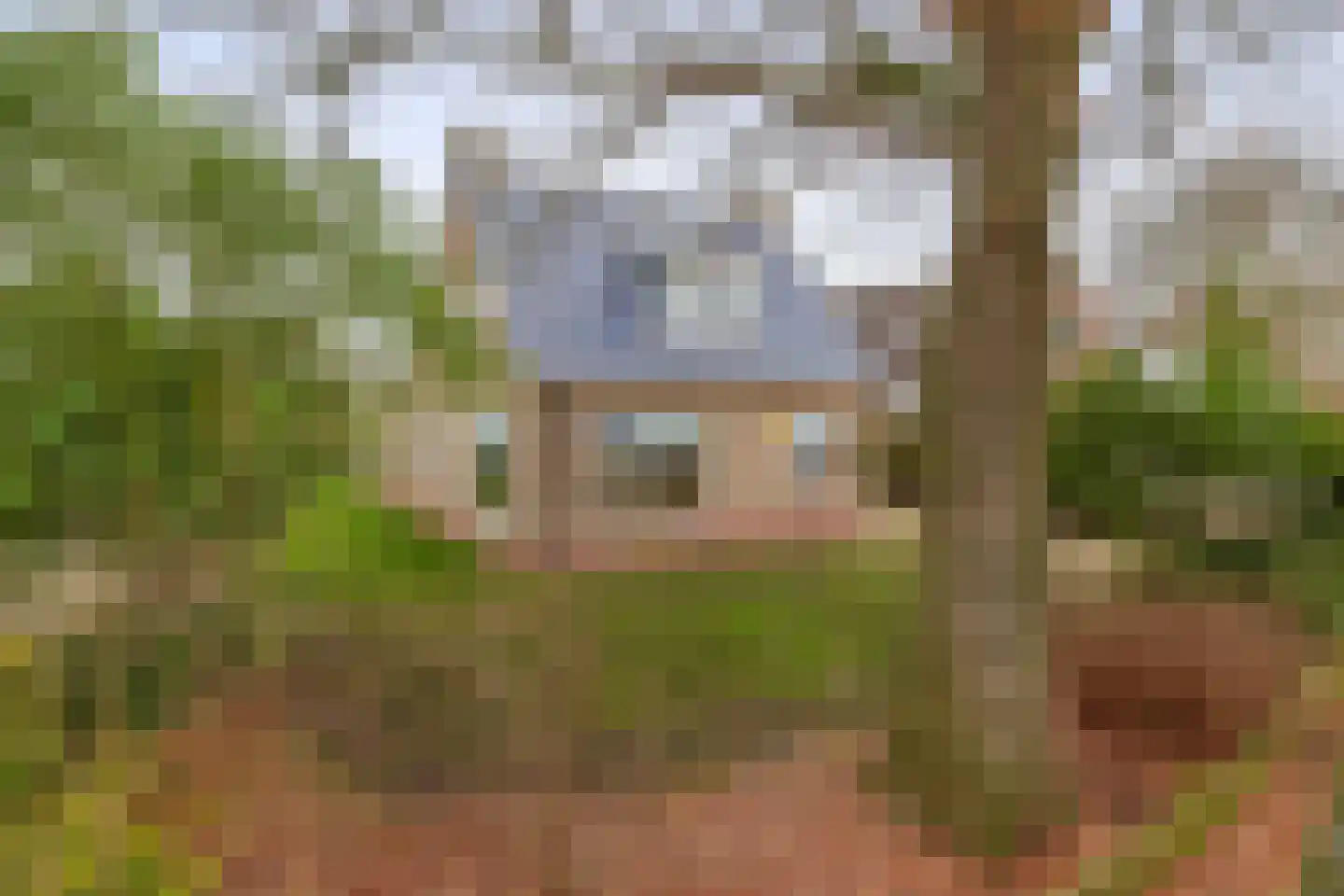 Lieverseweg 6 Peize thumbnail 4