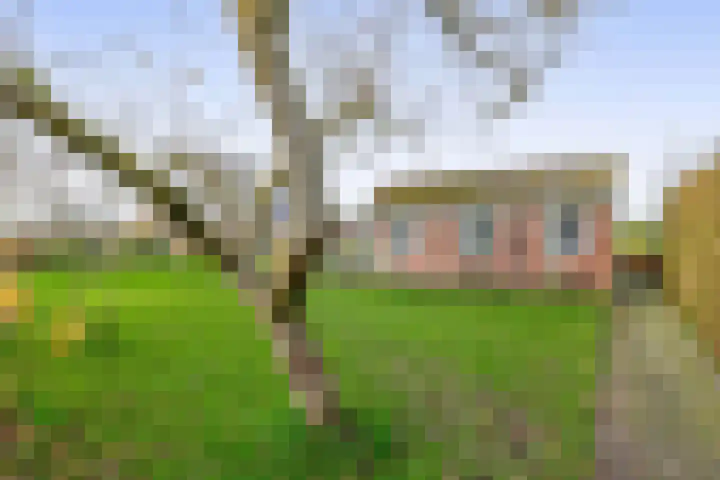 Lieverseweg 6 Peize thumbnail 48