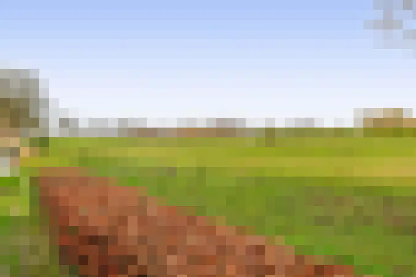 Lieverseweg 6 Peize thumbnail 50