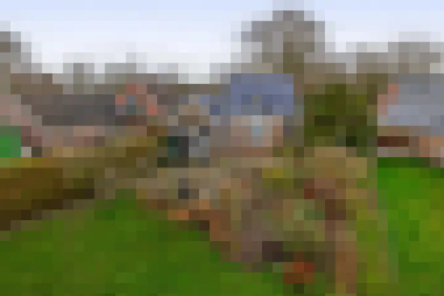 Lieverseweg 6 Peize thumbnail 53