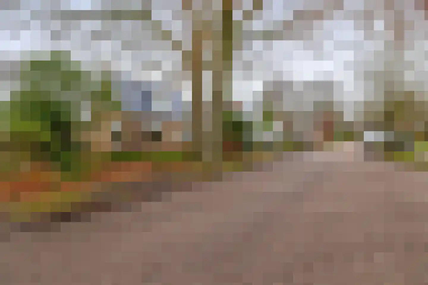 Lieverseweg 6 Peize thumbnail 56
