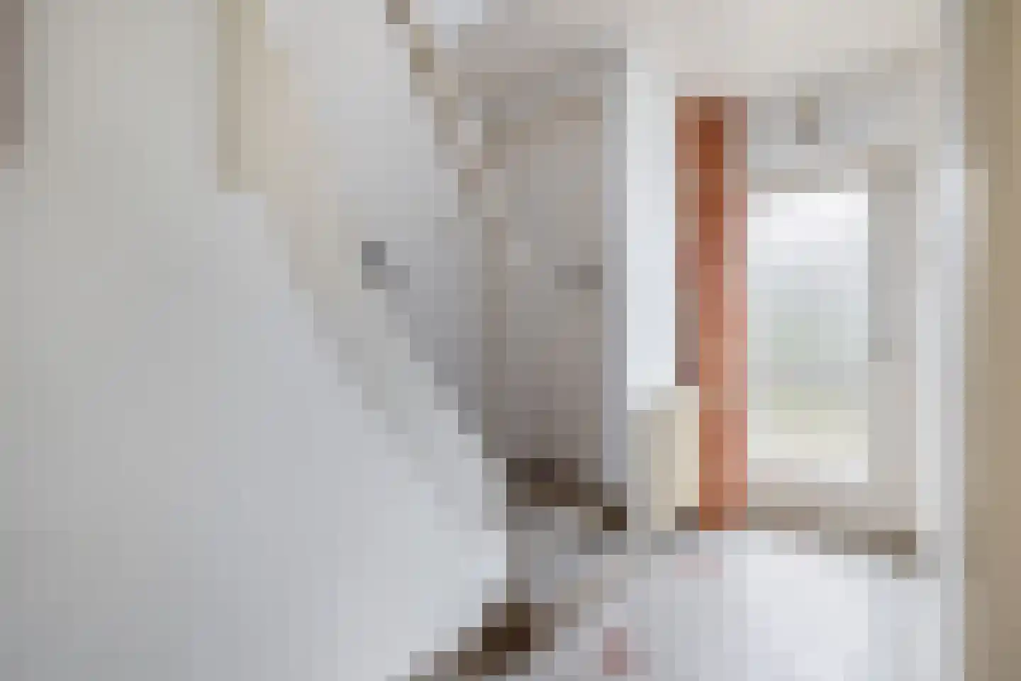 Lieverseweg 6 Peize thumbnail 8