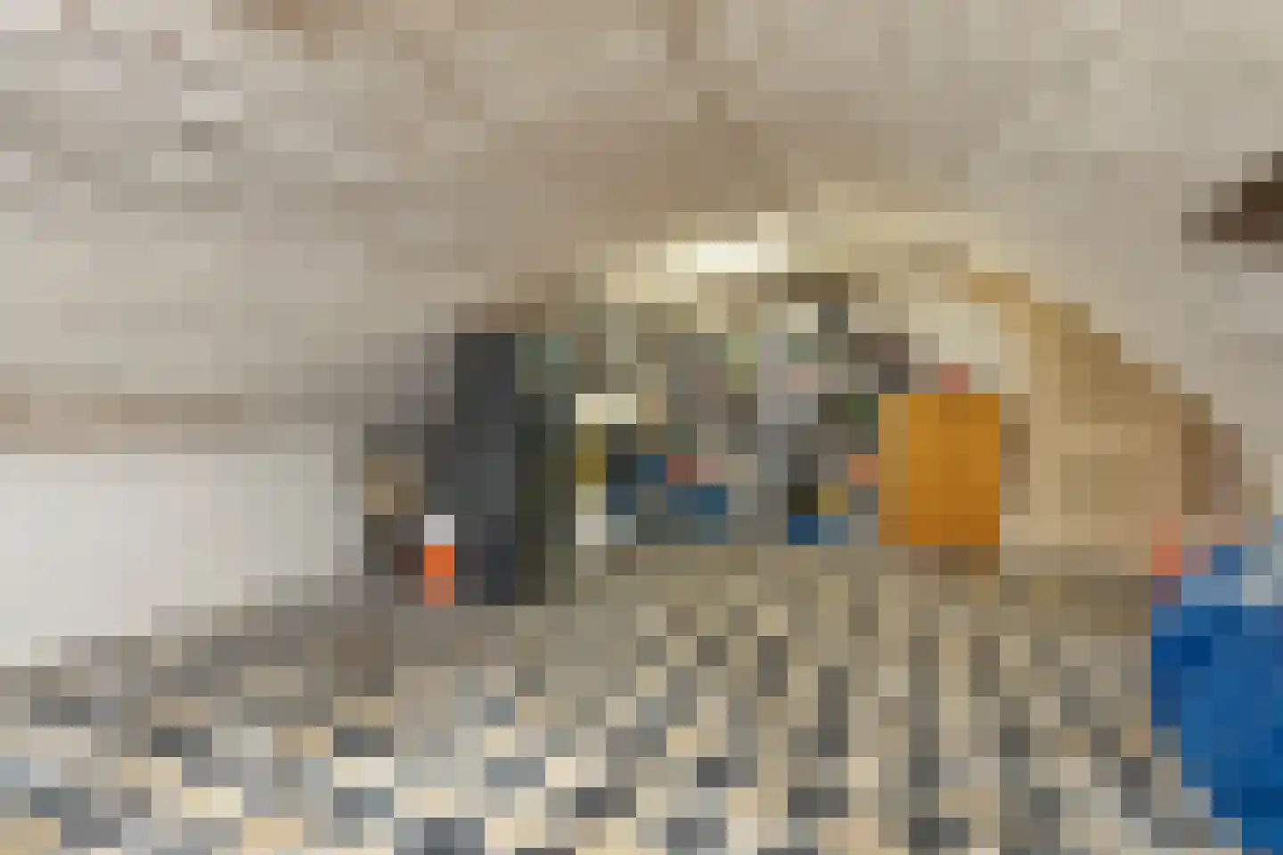 Lievevrouwestraat 1 b Bergen op Zoom thumbnail 12