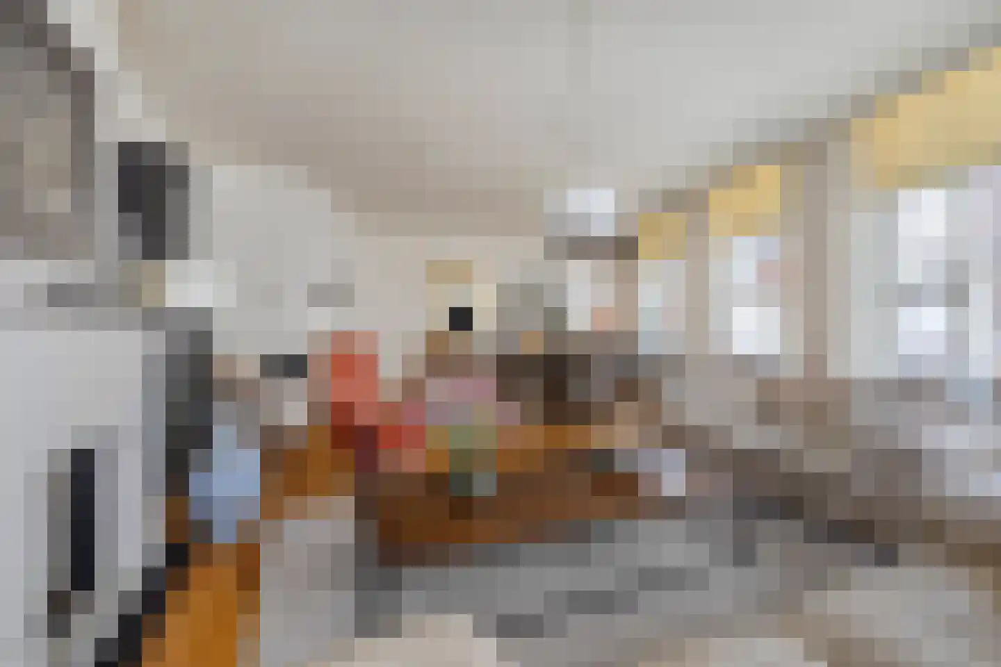 Lievevrouwestraat 1 b Bergen op Zoom thumbnail 5