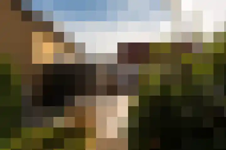 Lievevrouwestraat 20 Ossendrecht thumbnail 30