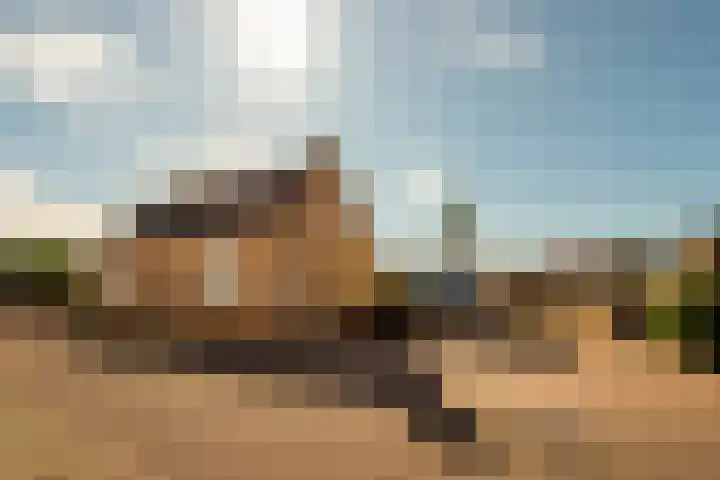 Lievevrouwestraat 20 Ossendrecht thumbnail 5