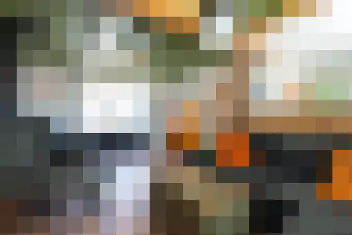 Lievevrouwestraat 20 Ossendrecht thumbnail 7