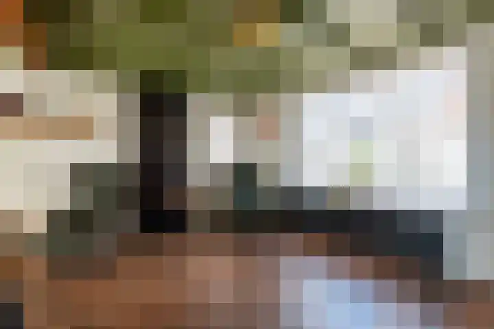 Lievevrouwestraat 20 Ossendrecht thumbnail 8