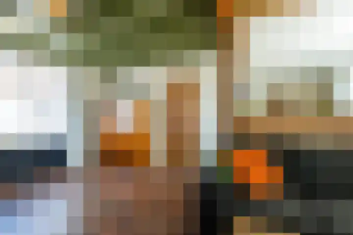 Lievevrouwestraat 20 Ossendrecht thumbnail 9