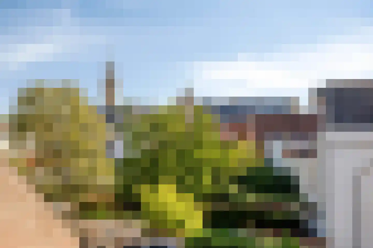 Lievevrouwestraat 28 b Bergen op Zoom thumbnail 6