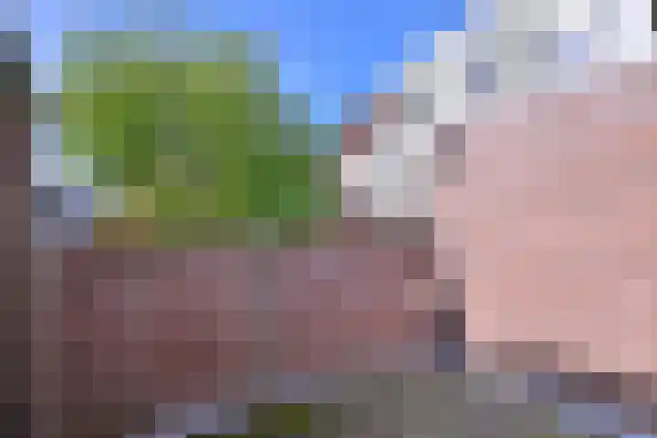 Lievevrouwestraat 4 Zutphen thumbnail 14