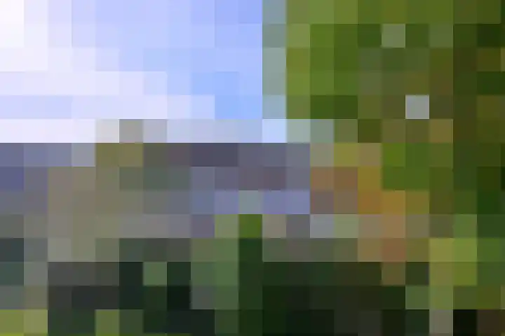 Lievevrouwestraat 4 Zutphen thumbnail 15