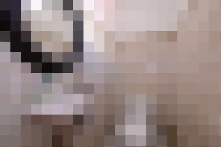 Lievevrouwestraat 4 Zutphen thumbnail 17