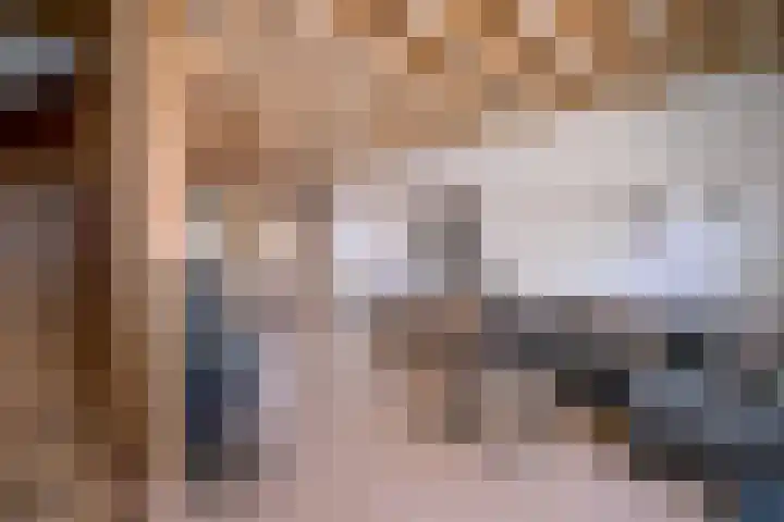 Lievevrouwestraat 4 Zutphen thumbnail 18