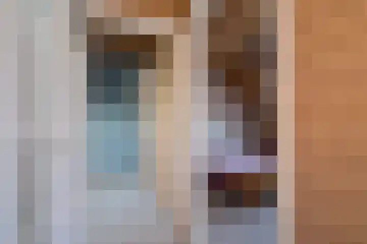 Lievevrouwestraat 4 Zutphen thumbnail 19