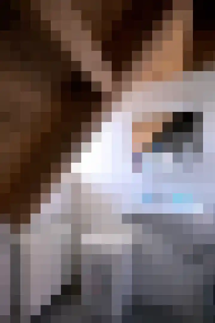 Lievevrouwestraat 4 Zutphen thumbnail 27